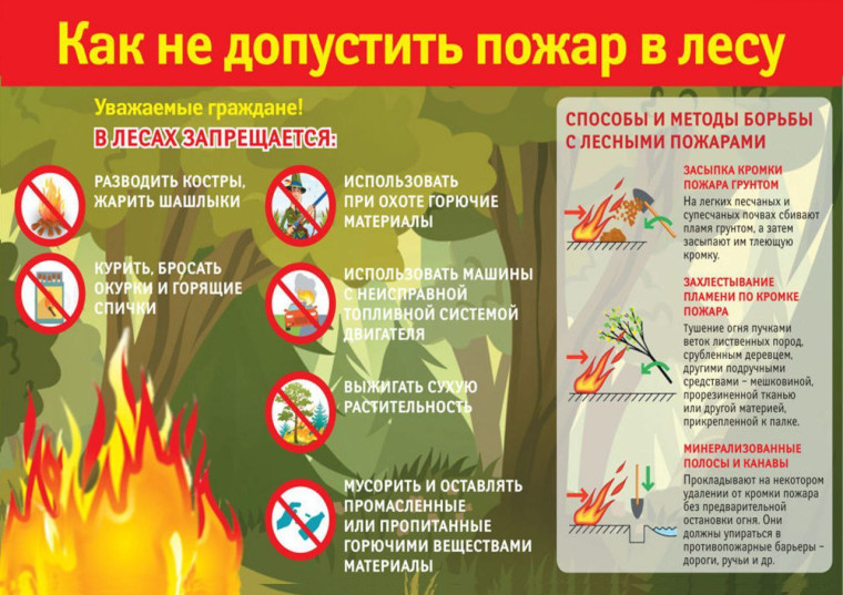 Правила безопасности в лесу в пожароопасный период.