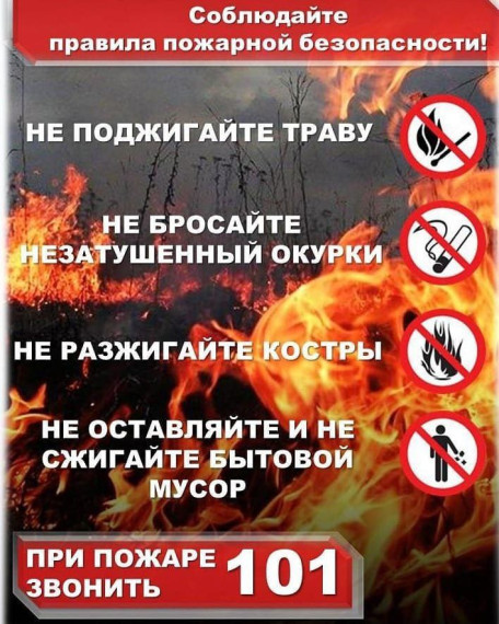 Правила безопасности в лесу в пожароопасный период.